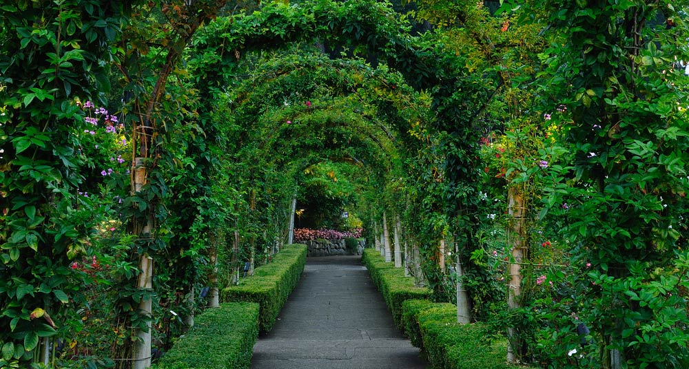 Butchart Gardens los jardines botánicos más bellos del mundo