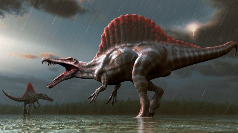 Reino de los dinosaurios comenzó tras ola de frío del Triásico Jurásico