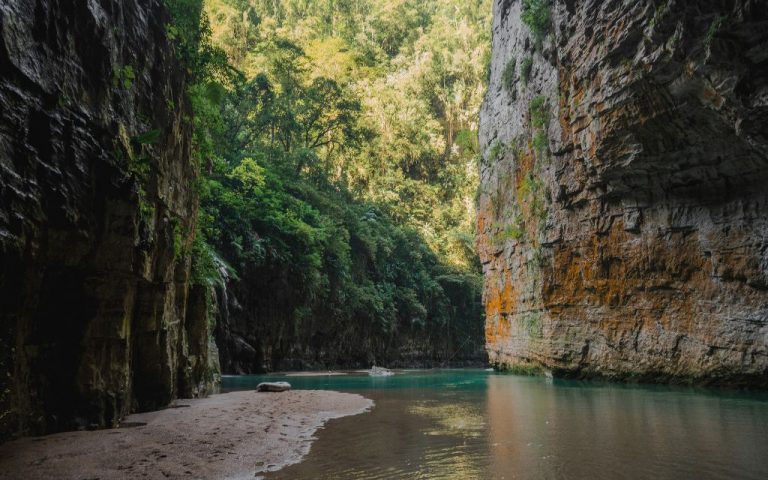 Entre Arrecifes Y Reservas Cinco Maravillas Naturales Del Sur De M Xico