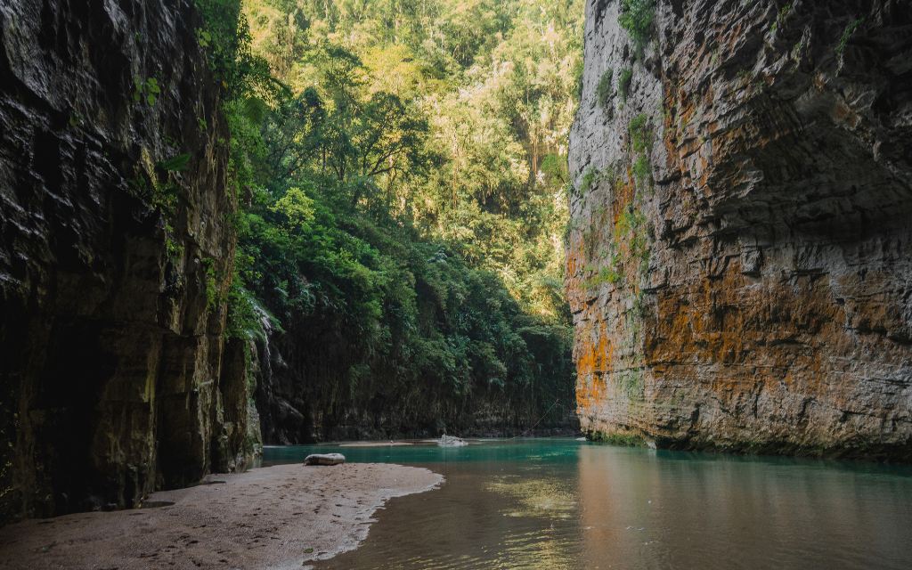 Curitiba E Parana Em Fotos Antigas Entre Recifes E Reservas Cinco