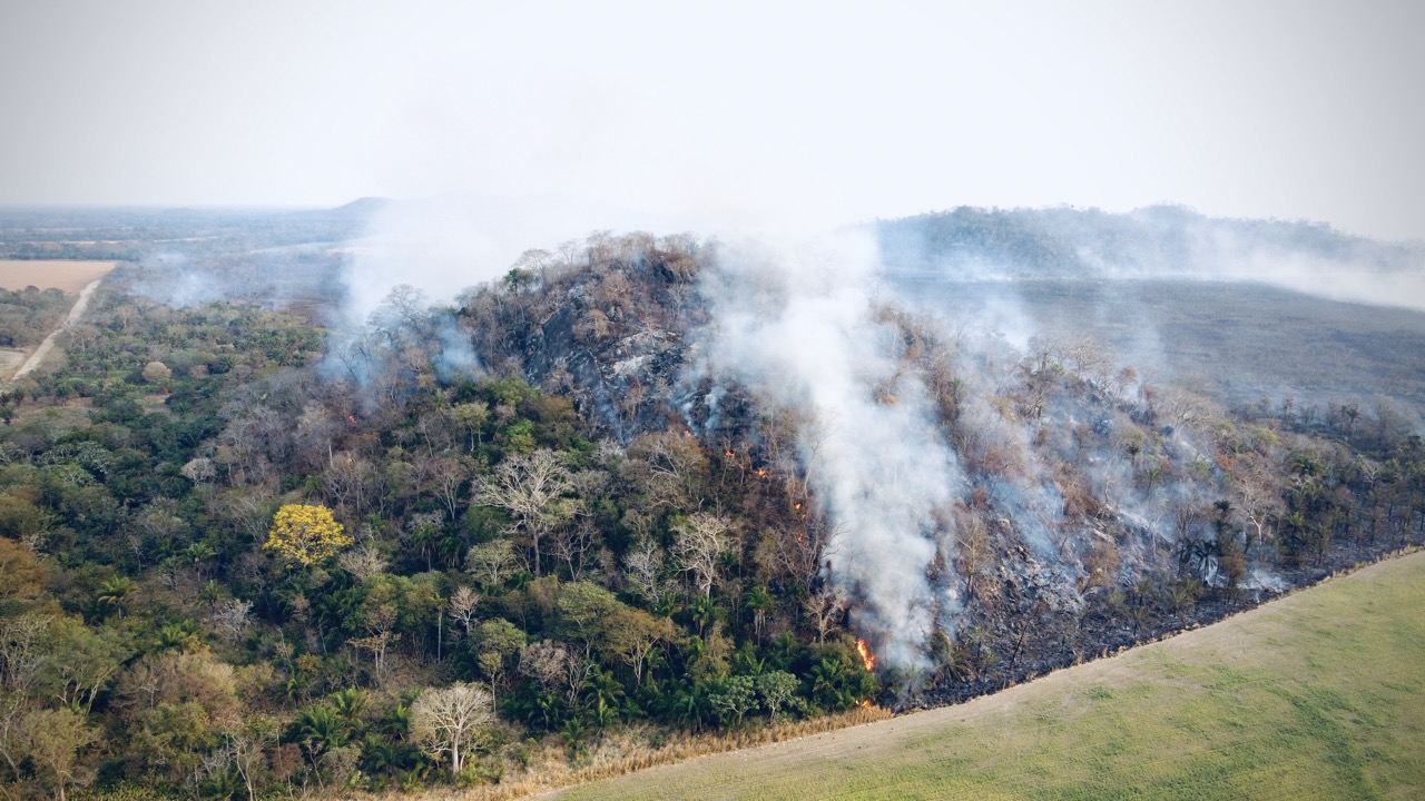 Una selva en llamas los incendios en Bolivia están amenazando la vida