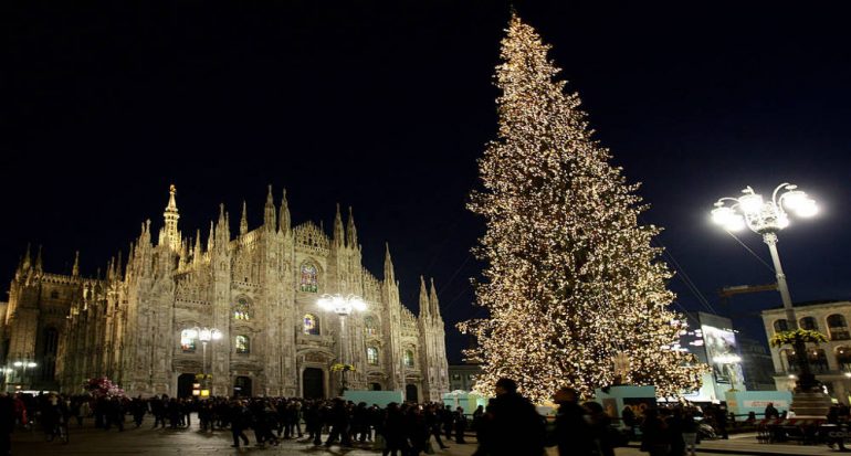 ¿Cuánto tarda en crecer un árbol de Navidad? - National Geographic en ...