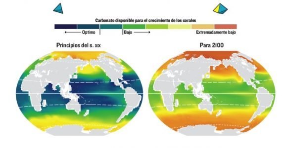 Acidificación de los mares - National Geographic en Español