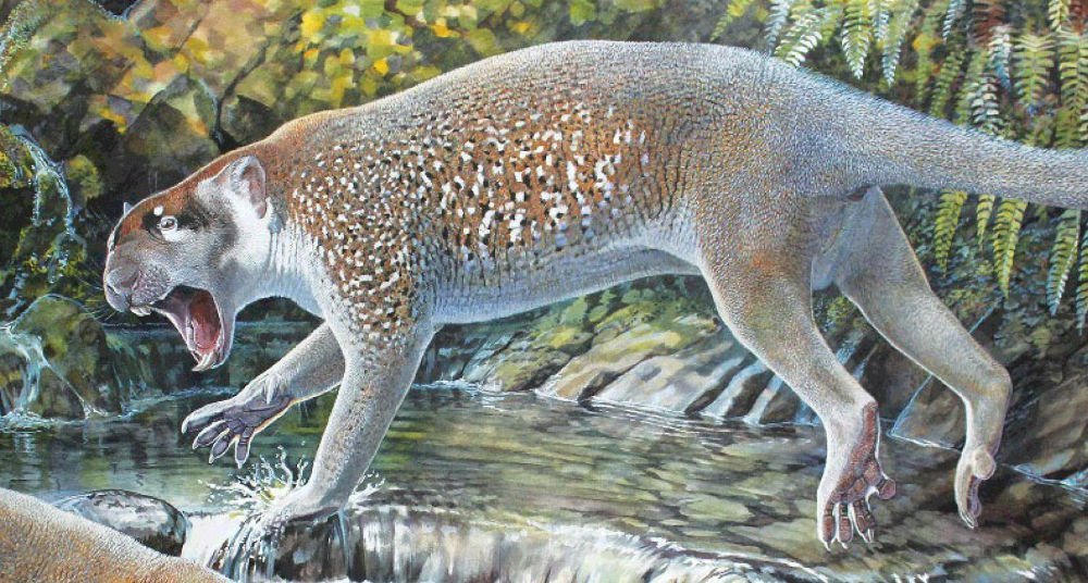 Descubren nueva especie de león marsupial National Geographic en Español