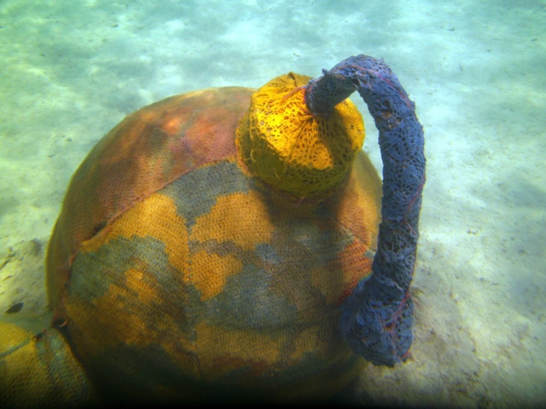 el-tejido-de-agata-oleksiak-national-geographic-en-espa-ol