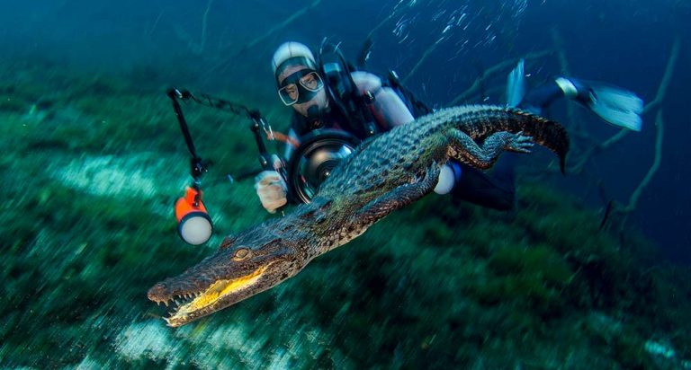 Las Ganadoras Del Concurso De Fotografía De Naturaleza National