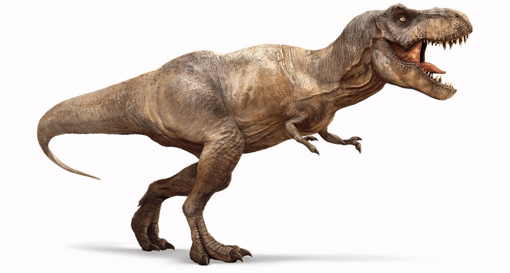 ¿Cuál es el descendiente vivo más cercano del Tyrannosaurus rex