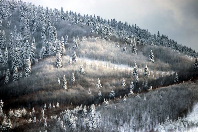 ¿Cuándo empieza el invierno? National Geographic en Español