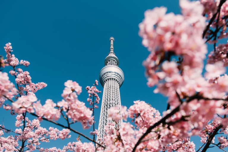 ¿Cuándo empieza la primavera? National Geographic en Español