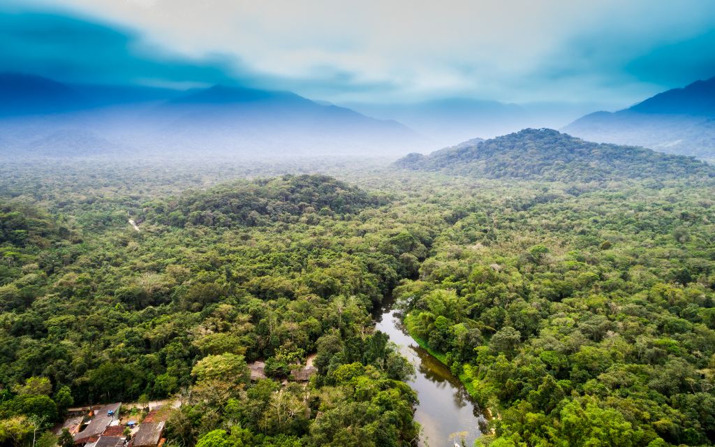 Descubren un valle de ciudades amazónicas de hace 2.500 años