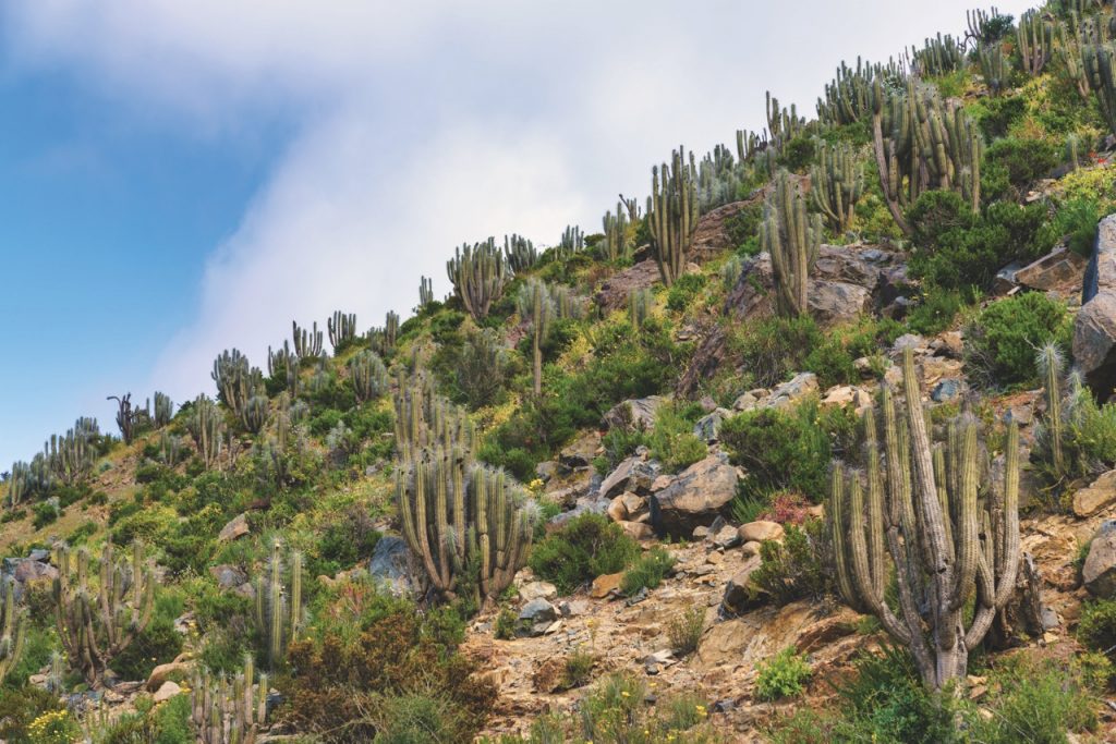 Stos Son Los Mejores Destinos Para Visitar En Am Rica Durante 2024   Destinos America 2024 1024x683 