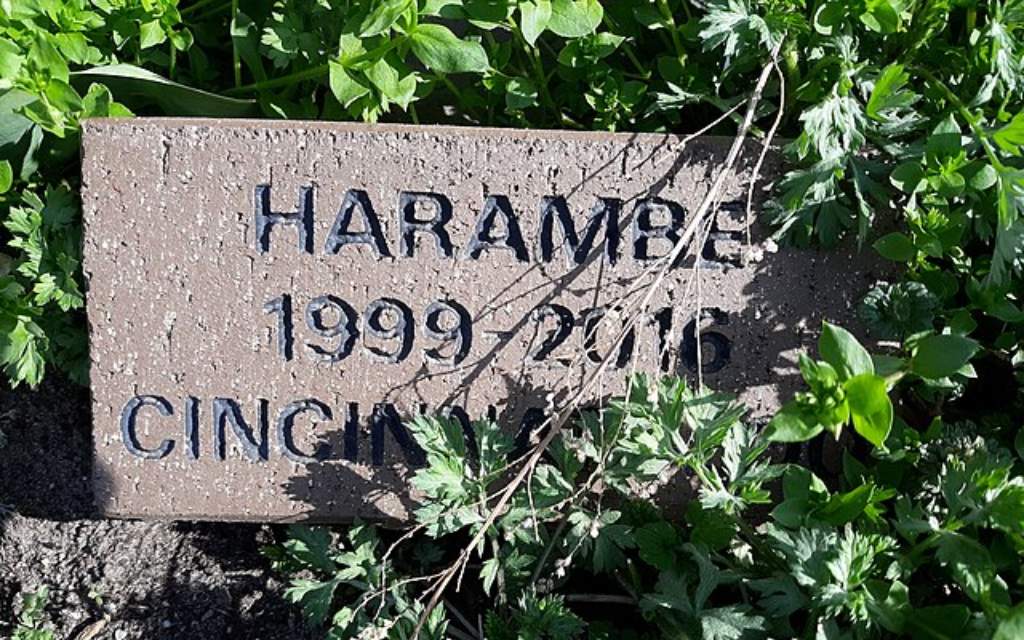 Placa con la que es recordado Harambe.