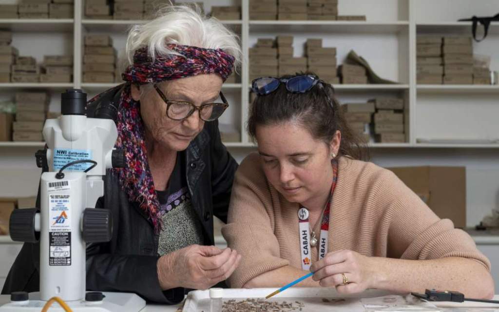 La profesora Sue O'Connor (izquierda) y la doctora Shimona Kealy, autoras de la investigación.