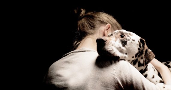 animales de apoyo emocional