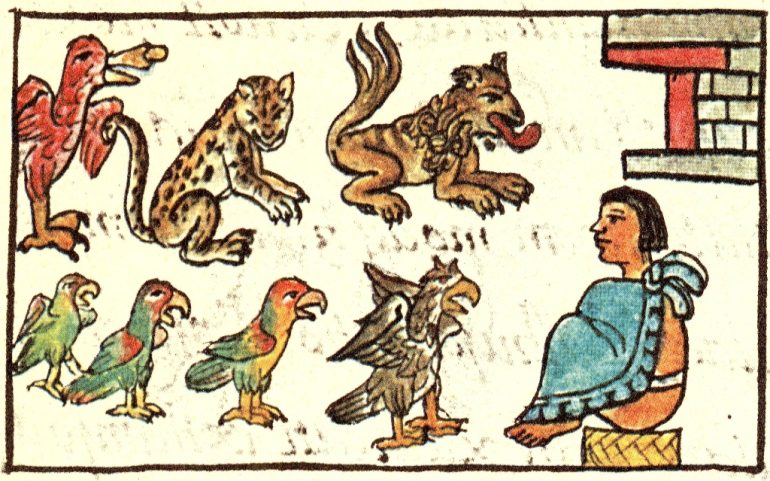 Así era el zoológico de Moctezuma, el hogar de fieras y aves en el corazón de Tenochtitlan