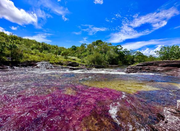 cano-cristales-el-rio-de-colores-que-yace-en-las-tierras-bajas-de-colombia