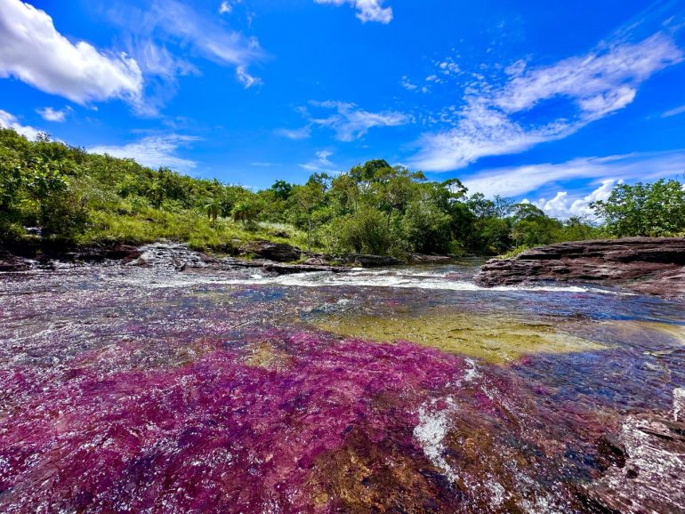 cano-cristales-el-rio-de-colores-que-yace-en-las-tierras-bajas-de-colombia