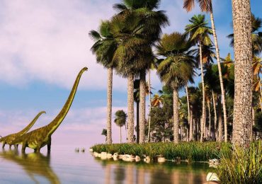 Los dinosaurios nunca caminaron entre selvas tropicales como creíamos hasta ahora