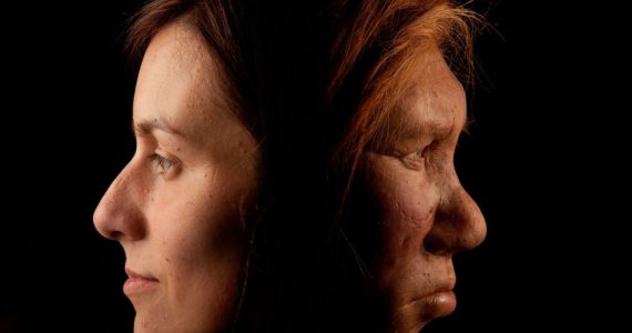 Los neandertales no se extinguieron, fueron absorbidos por los humanos