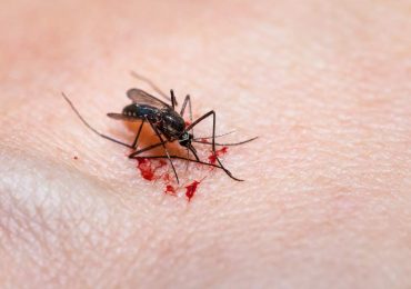Qué puedes hacer para evitar las picaduras de mosquitos
