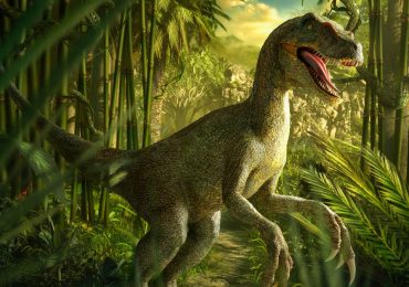 Cuál es la diferencia entre un dinosaurio y un reptil prehistórico