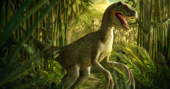 Cuál es la diferencia entre un dinosaurio y un reptil prehistórico