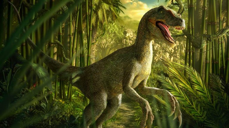 Cuál es la diferencia entre un dinosaurio y un reptil prehistórico