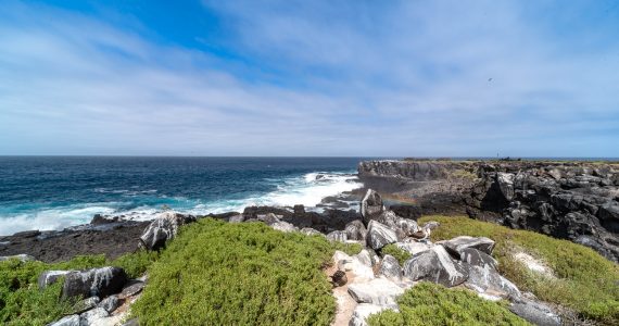 esto-es-todo-lo-que-necesitas-saber-para-explorar-las-islas-galapagos