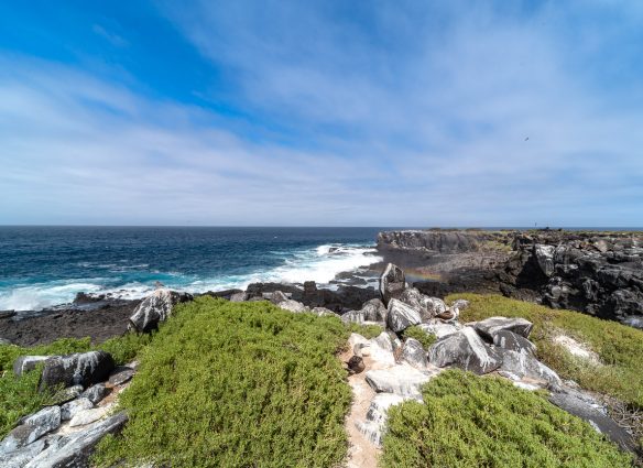 esto-es-todo-lo-que-necesitas-saber-para-explorar-las-islas-galapagos