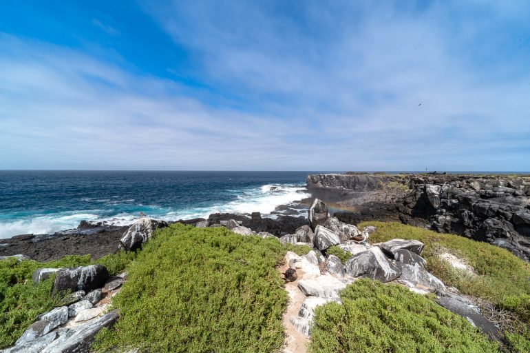 esto-es-todo-lo-que-necesitas-saber-para-explorar-las-islas-galapagos