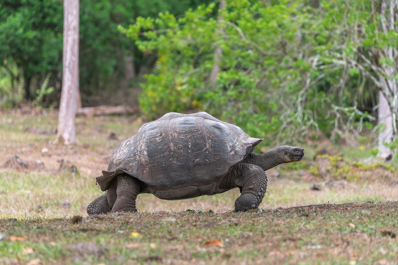 islas Galapagos