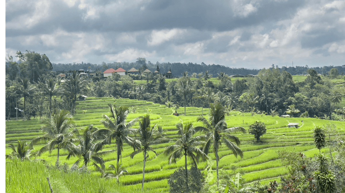 la-vida-en-bali-conoce-la-isla-que-esconde-el-secreto-de-la-felicidad