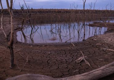 El fenómeno del Niño desencadenó la mayor extinción en la historia de la Tierra