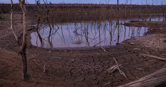 El fenómeno del Niño desencadenó la mayor extinción en la historia de la Tierra