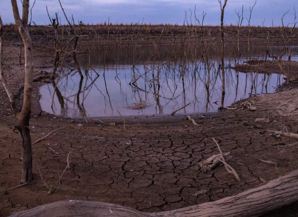 El fenómeno del Niño desencadenó la mayor extinción en la historia de la Tierra