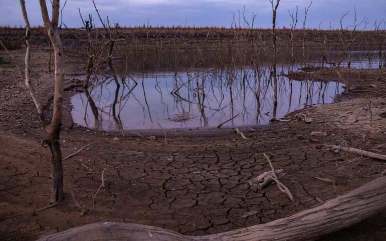 El fenómeno del Niño desencadenó la mayor extinción en la historia de la Tierra