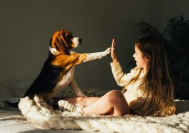 Por qué las patitas de los perros huelen a “chetos”