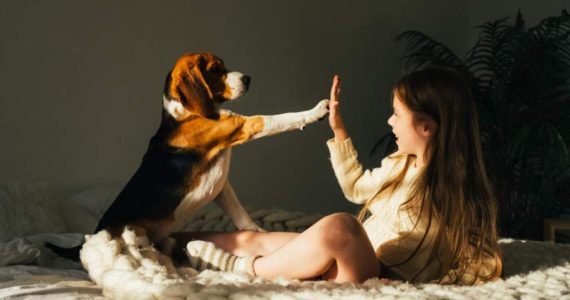 Por qué las patitas de los perros huelen a “chetos”