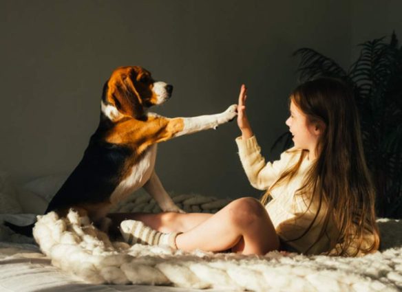 Por qué las patitas de los perros huelen a “chetos”