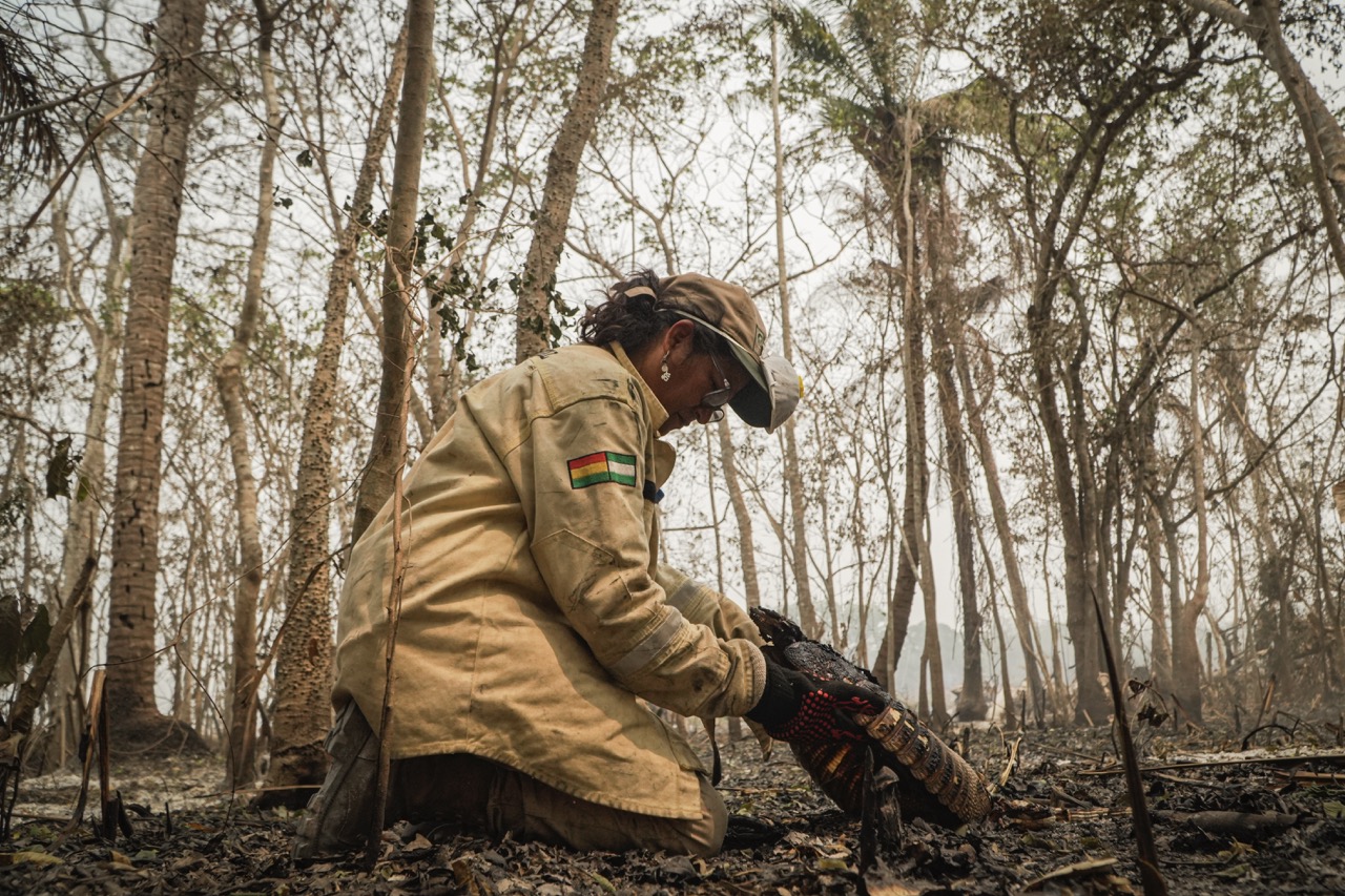 selva bolivia conservacion