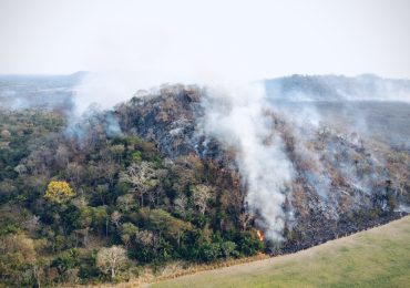 una-selva-en-llamas-asi-es-como-los-incendios-en-bolivia-estan-amenazando-la-vida