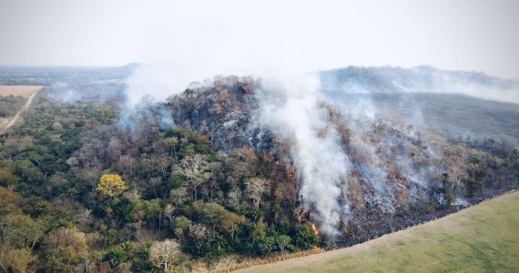 una-selva-en-llamas-asi-es-como-los-incendios-en-bolivia-estan-amenazando-la-vida