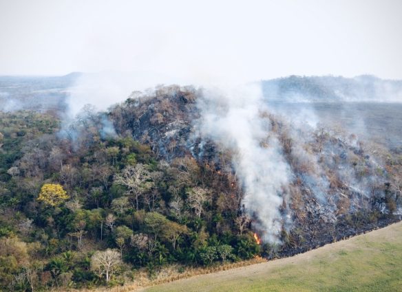 una-selva-en-llamas-asi-es-como-los-incendios-en-bolivia-estan-amenazando-la-vida