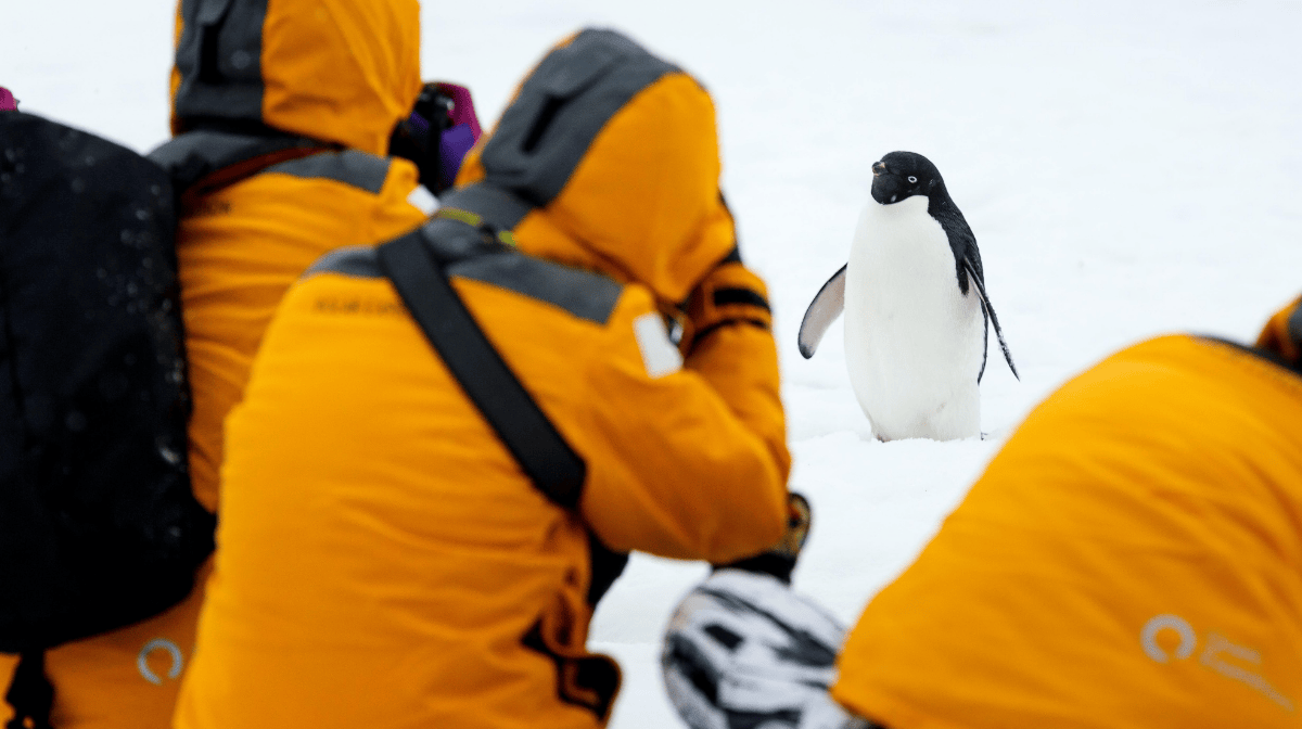 guía-para-viajar-al-fin-de-la-tierra-así-debes-empacar-para-ir-a-la-antártida