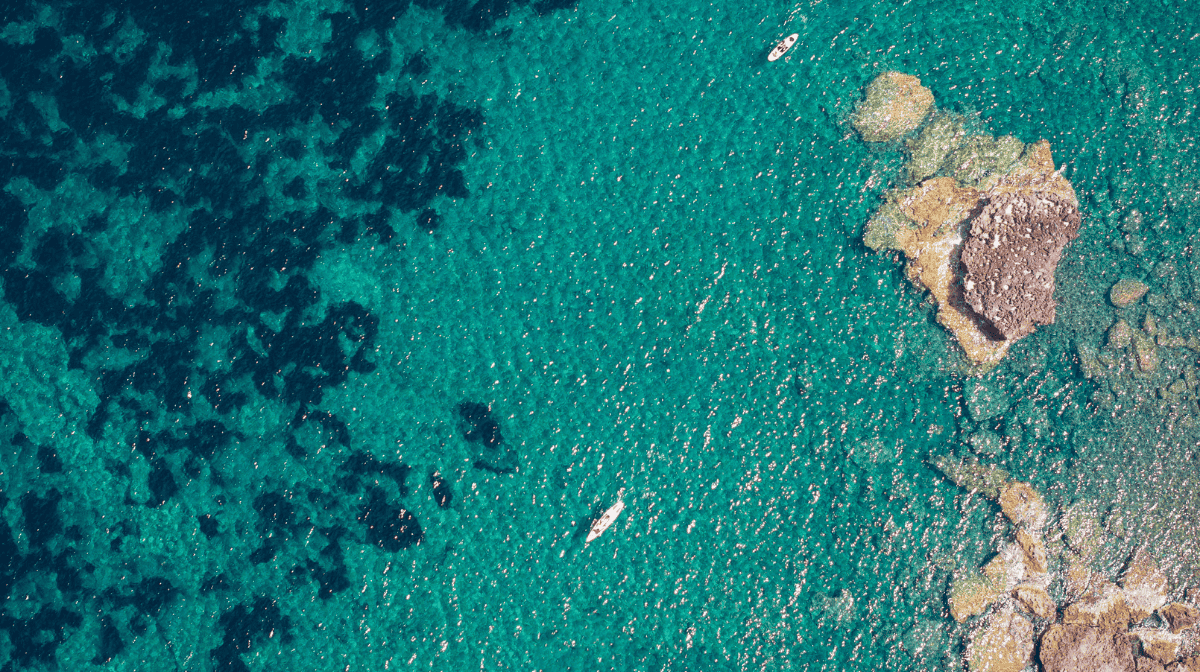 degustar-miel-de-verano-una-experiencia-de-lujo-en-serra-de-tramuntana