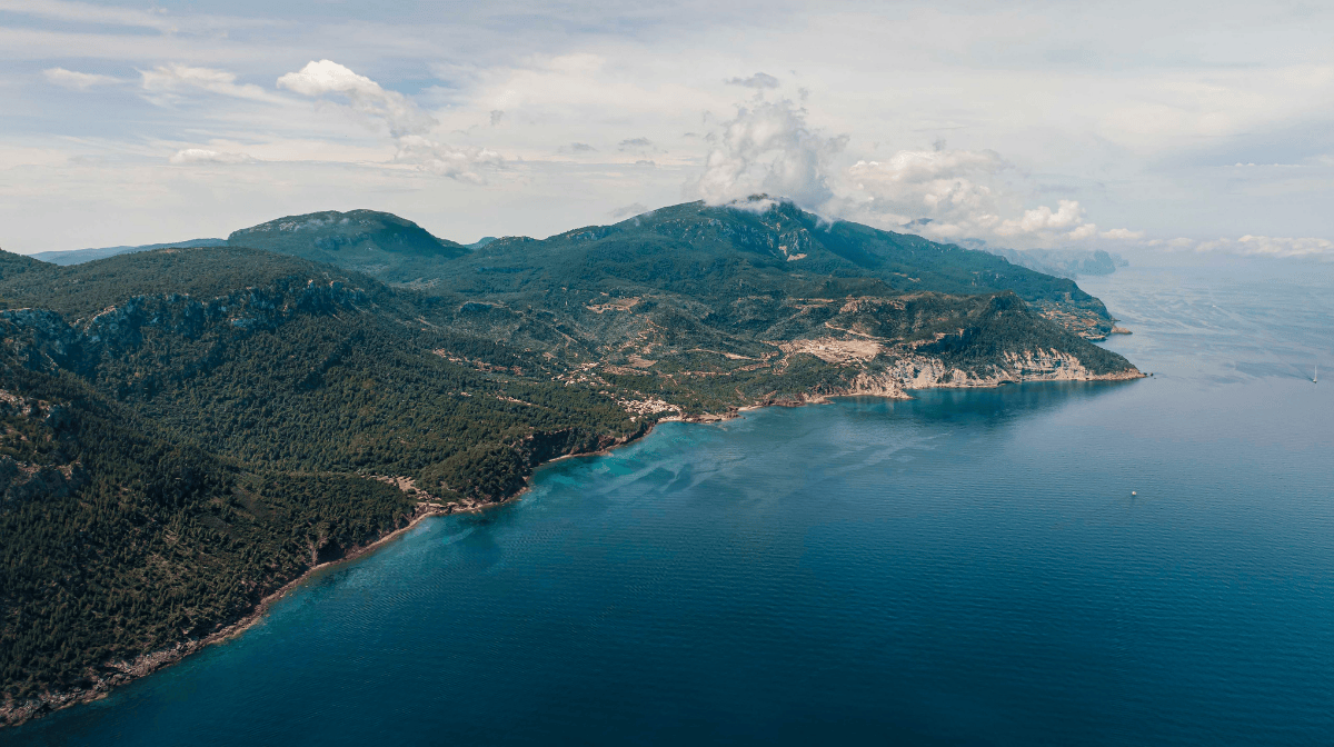 degustar-miel-de-verano-una-experiencia-de-lujo-en-serra-de-tramuntana