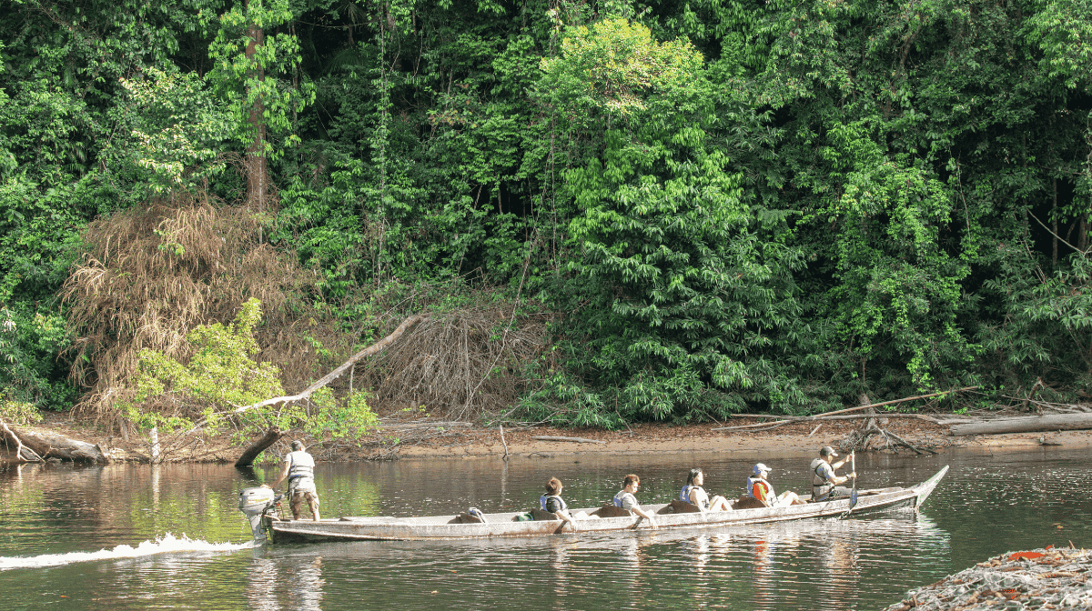 el-animal-que-no-deja-ver-sus-rayas-taman-negara-casa-del-tigre-malayo