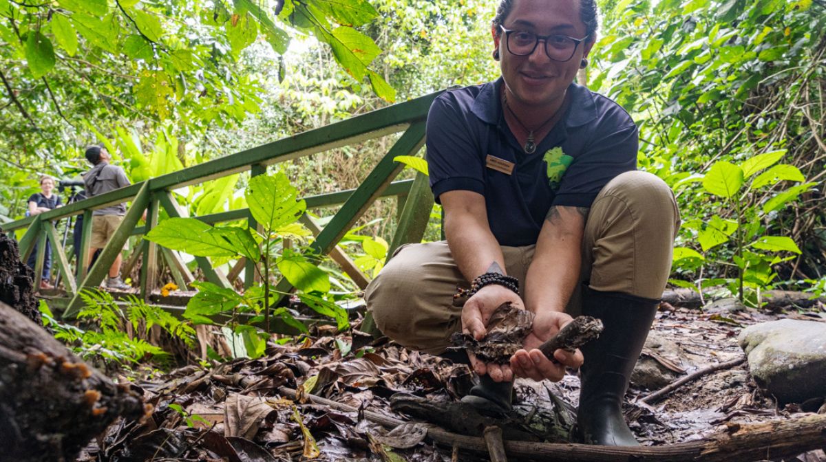 costa-rica-turismo-ecologico (2)