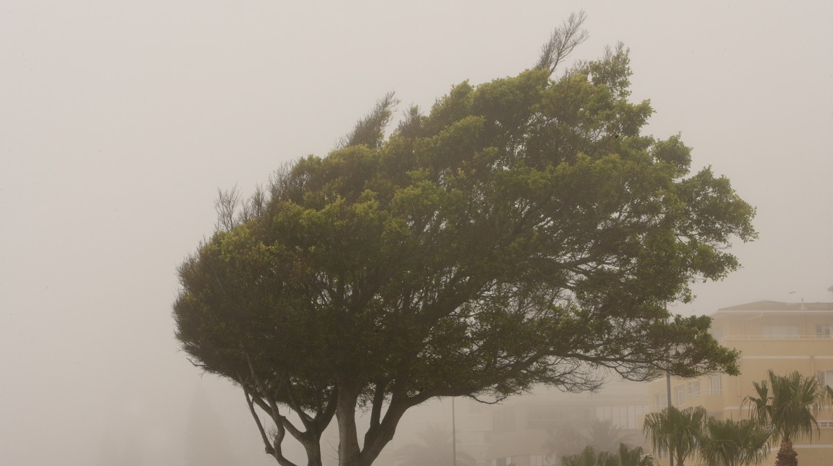 Cuál ha sido el viento más fuerte