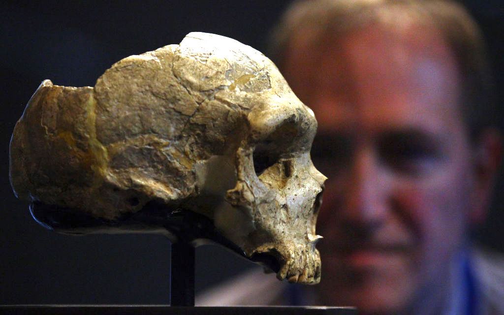 Los primeros humanos "mataron" a los neandertales, ¿cómo lo hicieron?